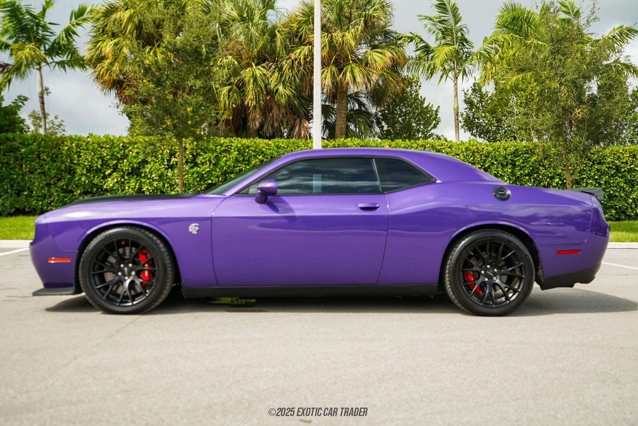 2019 Dodge Challenger SRT Hellcat for Sale | Exotic Car Trader